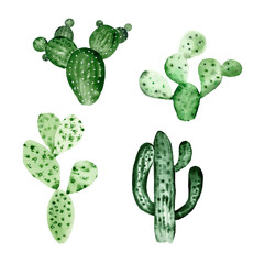 Watercolor isolated  green cactus clipart. Watercolor mexican cactus clipart. Green succulent clipart. Tequila cactus. Desert plants