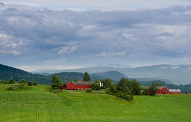 Obraz premium Norwegian landscape scenery with farms