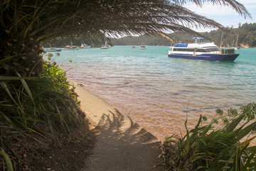 Kawau Island New Zealand water scenes