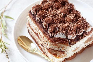 Tiramisu dessert on white plate, close up