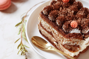 Tiramisu dessert on white plate, close up