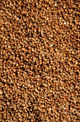 buckwheat on a plate and spoon isolated background