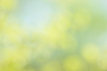 Blurred bokeh nature background. Abstract natural backdrop of park or garden. Soft defocused photo of plants with leaves and stems. Tree, bush or grass made with bokeh effect. 
