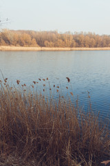 Beautiful forest lake on sunset