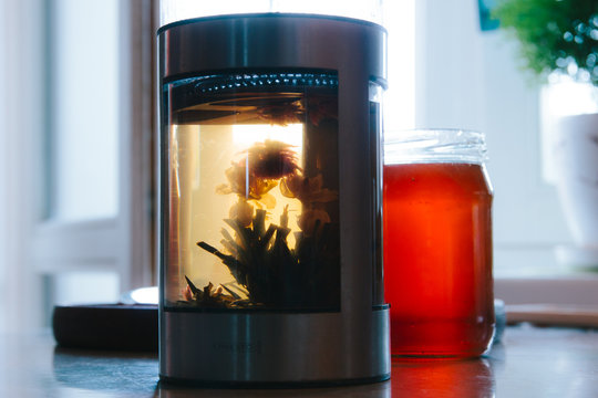 Big glass teapot with flowers and tea in home. A kettle is on the table opposite the window. Close up blomming petal of flower and tea leaf. Sort of tea with herd. Healthy beverage. Indoor. lifestyle.