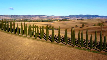 Cypress alley with shadows in aerial view with a drone. Tuscany, Italy