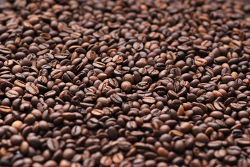 texture of coffee beans. side view. macro photo