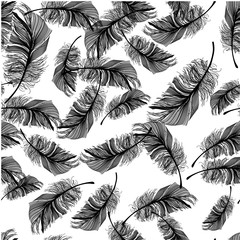 seamless pattern with feathers