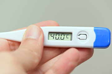 hand holding a thermometer with a high fever temperature of more than 40 celsius