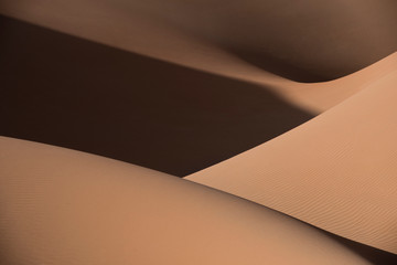 Desert shapes and camels