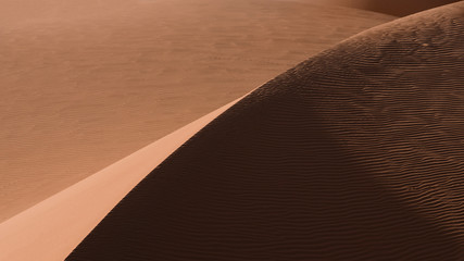 Desert shapes and camels