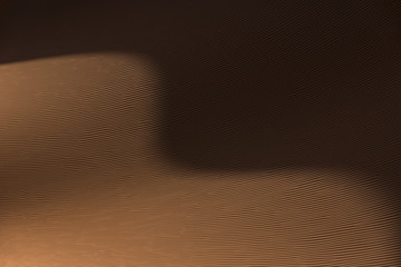 Desert shapes and camels