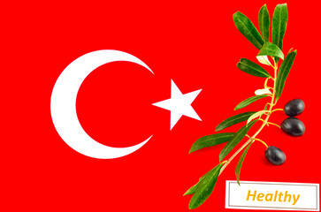 Olive branch with olives onto Turkish flag