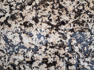 The surface of white marble with black veins. Water accumulated in the recesses of the stone. Vintage stone background.