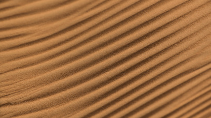 Desert shapes and camels