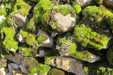 piedras