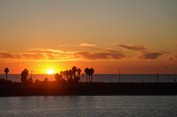 Fototapeta na wymiar Sunset with Palm Trees