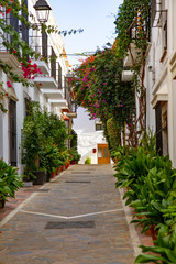 Fototapeta na wymiar Beautiful streets of Marbella old town. Flowers, old buildings architecture. White houses , blue sky
