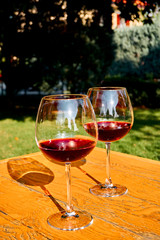 Two Glasses of Fresh Red Wine for Celebration