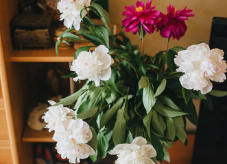 White peonies close-up with green foliage. Photography, concept.