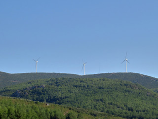 Green energy- wind turbines at a wind farm