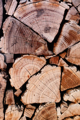 Naklejka premium Wooden abstract background.Texture of wooden boards with aged rings.Old tree with aged rings.Firewood of various sizes and shapes.