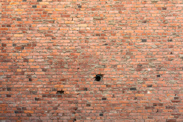 Obraz premium Old brick wall texture background
