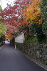 Fototapeta na wymiar 京都・紅葉の秋の道