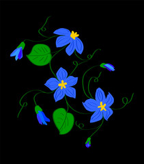 blue flowers on black background