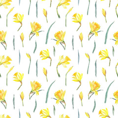 Seamless pattern with watercolor hand drawn yellow narcissus for fabric, wrapping paper, seasonal decor, card, poster and another design. Isolated on white background