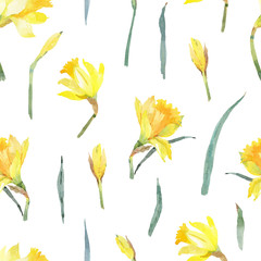Seamless pattern with watercolor hand drawn yellow narcissus for fabric, wrapping paper, seasonal decor, card, poster and another design. Isolated on white background