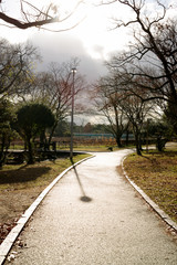 雨上がりの服部緑地・濡れるアスファルトの照り返しと公園の風景
