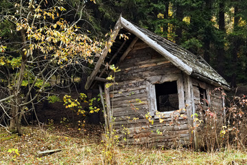 Old wooden ramshackle hut with wood shingle roof, autumn forest