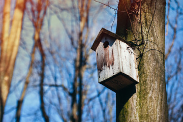 handmade birdhouse hanging on a tree in the forest