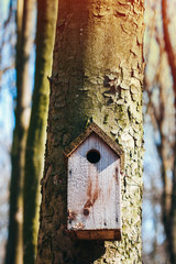 abandoned bird house nailed on a tree in the winter forest, handmade