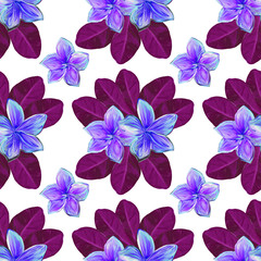 Frangipani Plumeria Tropical Flowers. Seamless Pattern Background. Tropical claret and violet floral summer seamless pattern background with plumeria flowers with leaves.