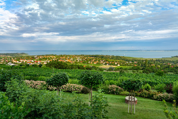 Naklejka premium Nice vineyard farm over the Lake Balaton in Hungary with flowers landscape