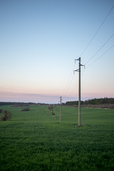 Fototapeta na wymiar A line of electric poles with cables of electricity in a field with a forest in background in sprimg time during sunset.