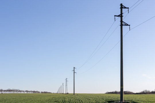 A line of electric poles with cables of electricity in a field with a forest in background in spring time during the day.