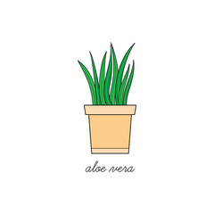 Aloe vera vector illustration graphic. Hand drawn cute outlined indoor plant in pot. Isolated.