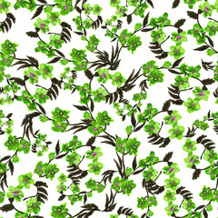 Fototapeta na wymiar Seamless pattern wild green flower and leaves on white background. Watercolor floral illustration. Botanical decorative element. Flower concept. Botanica concept.