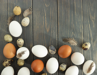Easter.  White and beige chicken and quail eggs on a gray wooden background with space for text.  flat location.