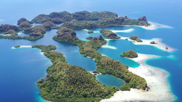 A collection of rock islands is found in Raja Ampat's beautiful seascape. This area in Indonesia is known to be the heart of marine biodiversity and is a popular destination for divers and snorkelers.