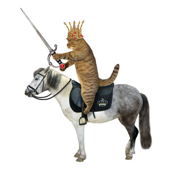 The beige cat king in a gold crown with a sword with a ruby rides a gray horse. White background. Isolated.