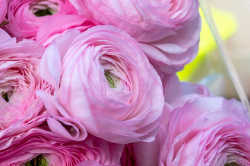 a beautiful bouquet of pink ranunculus flowers