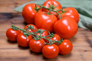 Red ripe tasty Dutch tomatoes growing indoor in greenhouse all seasons, food industry in Netherlands