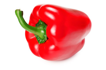 one red sweet bell pepper isolated on white background
