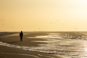 Fototapeta na wymiar View of the north sea beach on a windy winter day at sunset, people, kitesurfing and seagulls. Noordwijk, the Netherlands