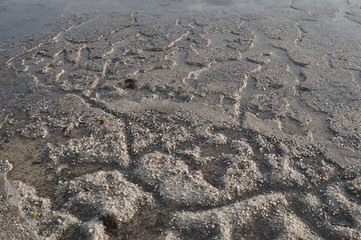 water on the shore, a beautiful background, texture and cracks on the ground.