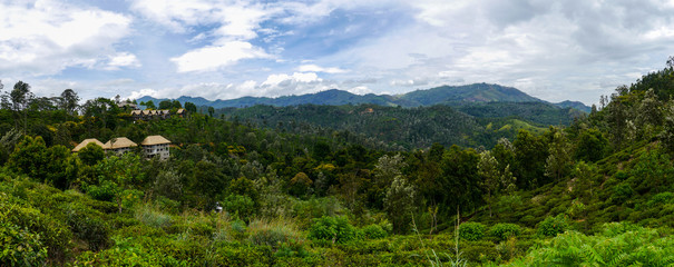 Fototapeta na wymiar Panoramic view of a valley with a tea plantation and tropical forests on the way up to Little Adam's Peak in Ella